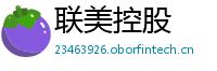 联美控股